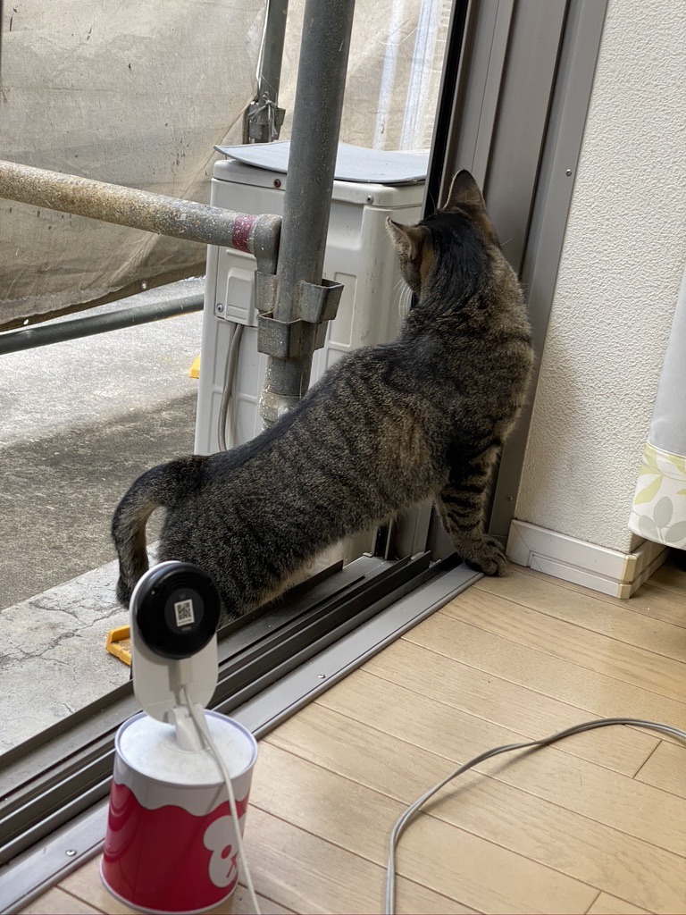 42C7CE28-A843-4F1A-A2D7-1B3BD6C3020D_1_105_c