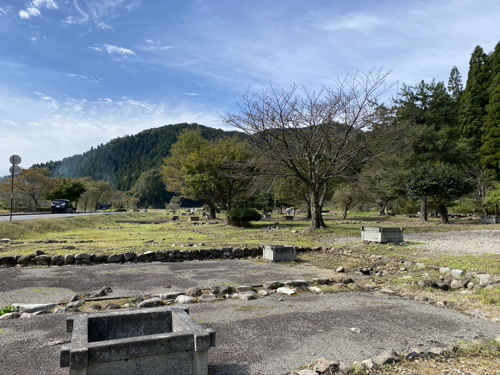 486794B6-E29E-4229-8961-3DF245FA6863_1_105_c