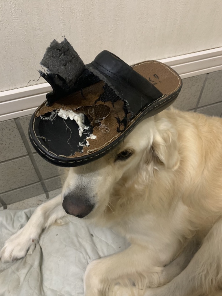 6462D307-8D4D-4489-BDD3-5EC0AF7161B2_1_105_c