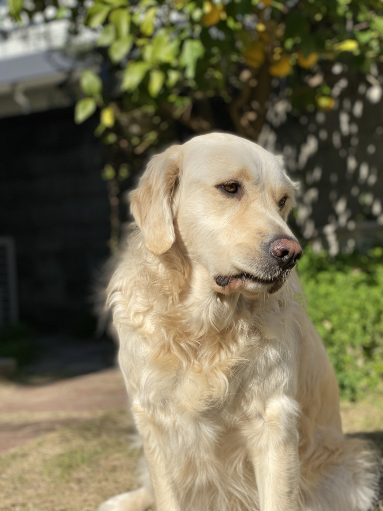 6854B1A3-D13F-4860-9E7A-690EBBBC2ED1_1_105_c