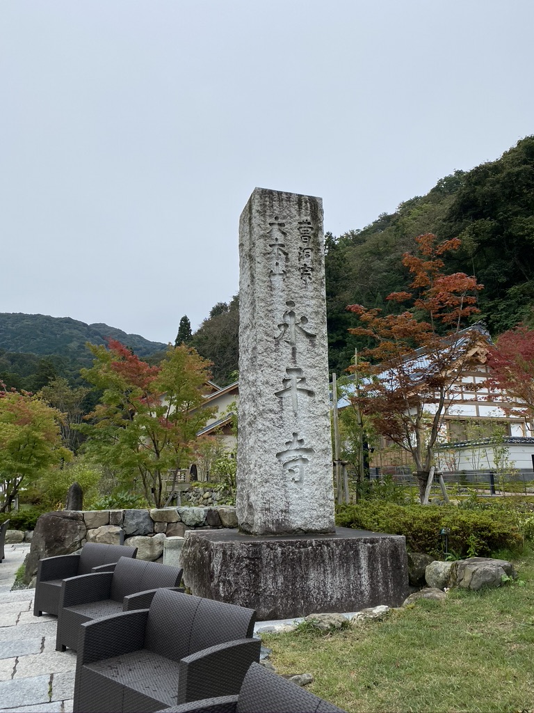 85D4932D-1F63-4091-BF19-33C0B4C00E0A_1_105_c