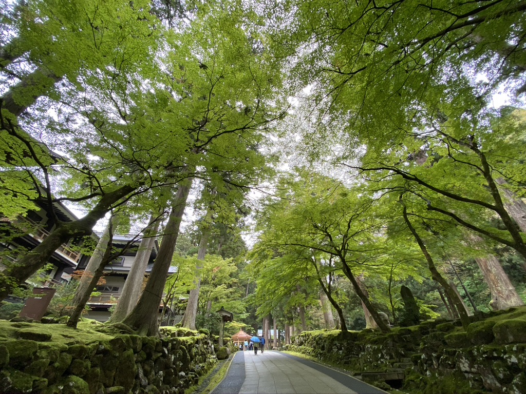 943E604D-1AAD-4571-9BF3-BEAF6116B04E_1_105_c