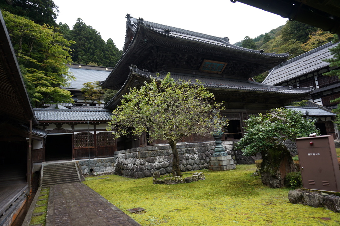 F1FA364D-ADCF-4B53-A4EA-8D8EF3209978_1_105_c